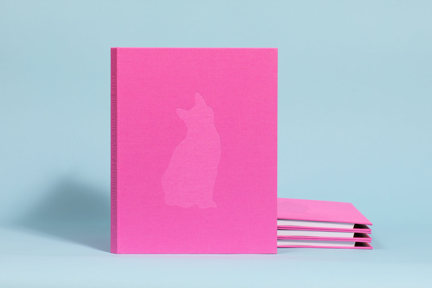 Felis Silvestris Catus - Fleur Huijsdens