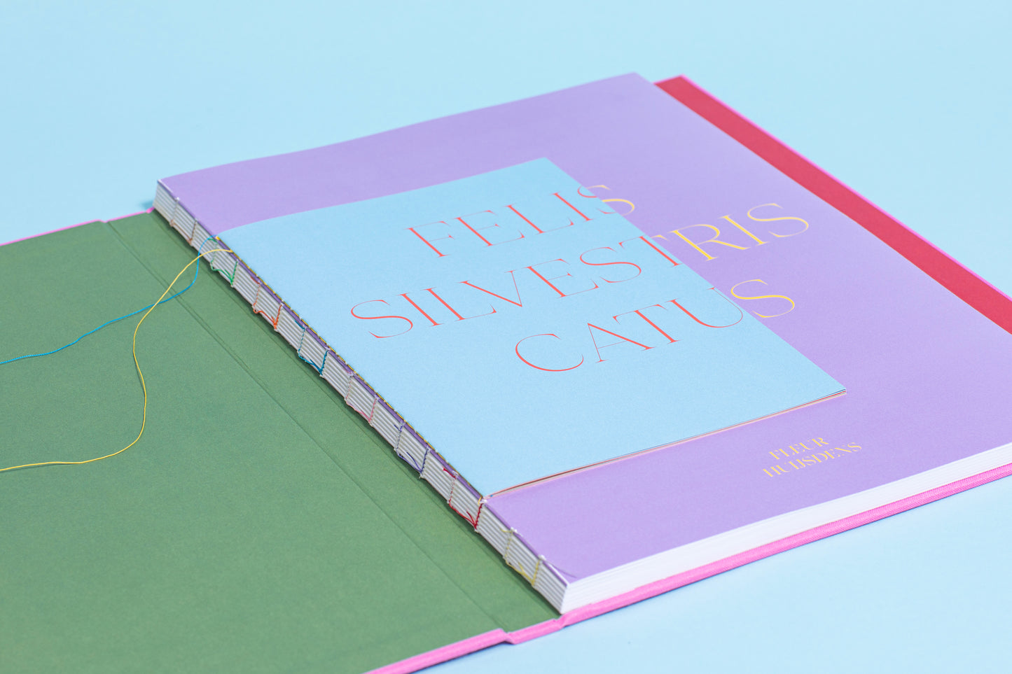 Felis Silvestris Catus - Fleur Huijsdens