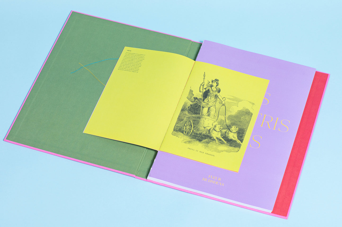 Felis Silvestris Catus - Fleur Huijsdens