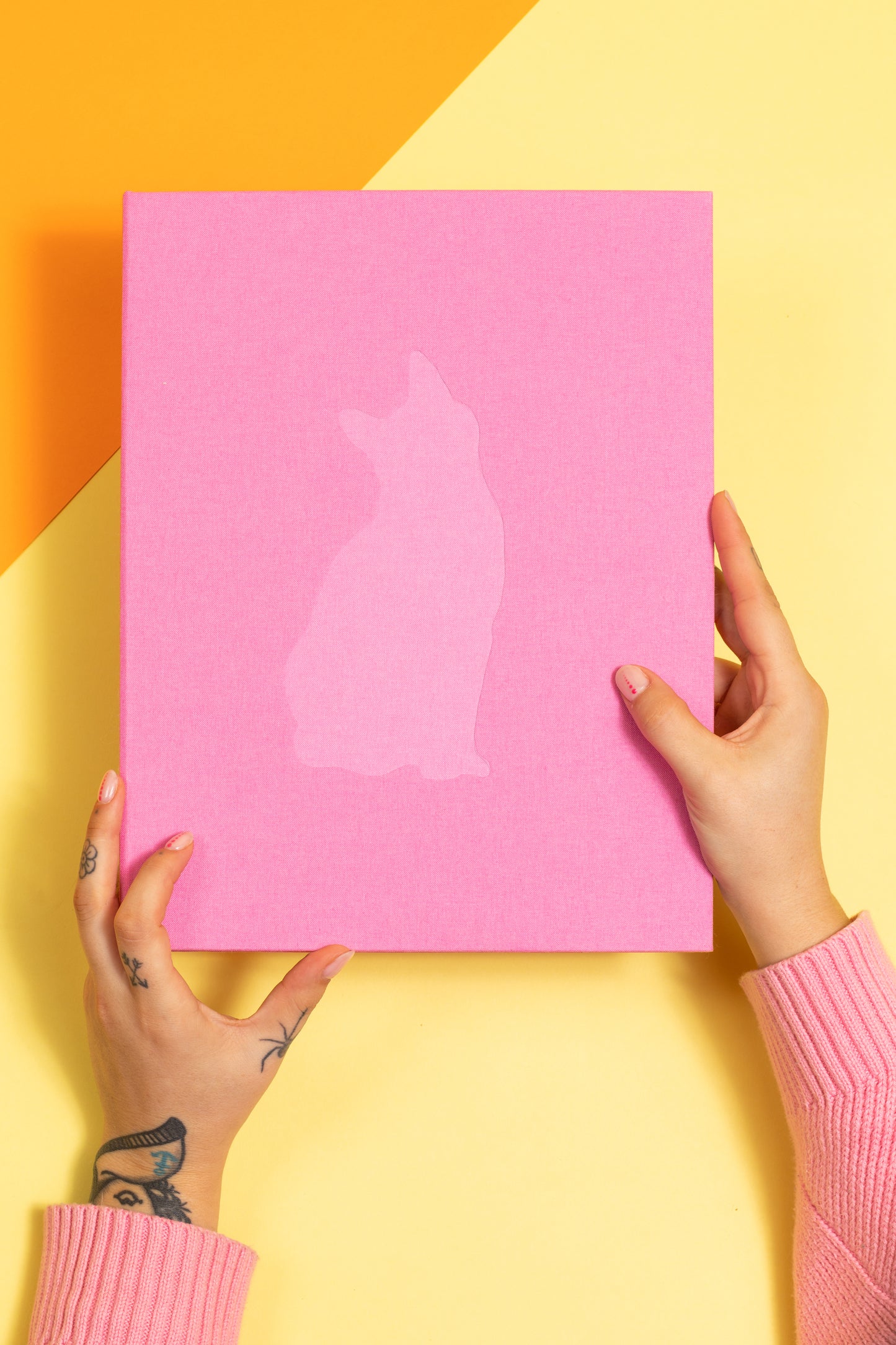 Felis Silvestris Catus - Fleur Huijsdens