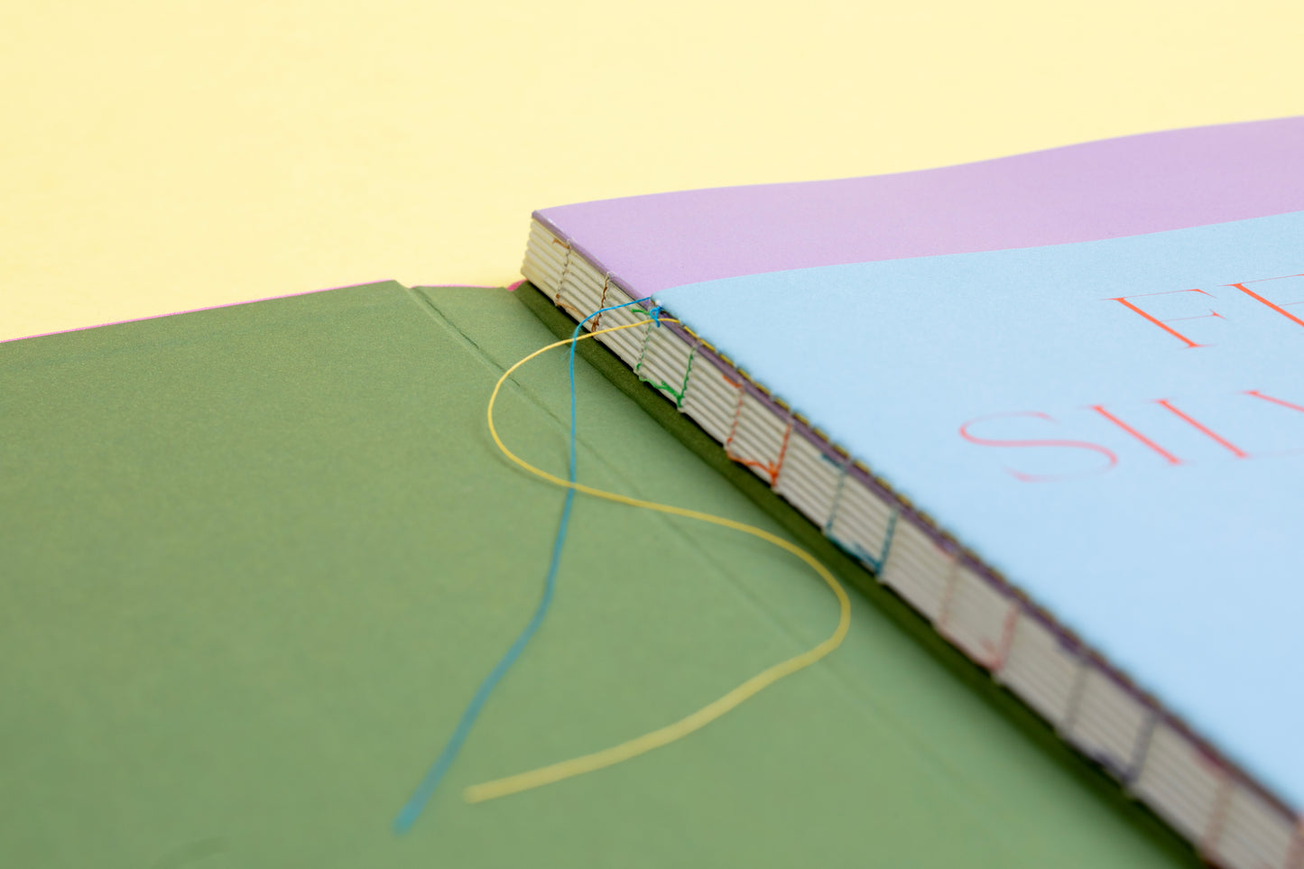 Felis Silvestris Catus - Fleur Huijsdens