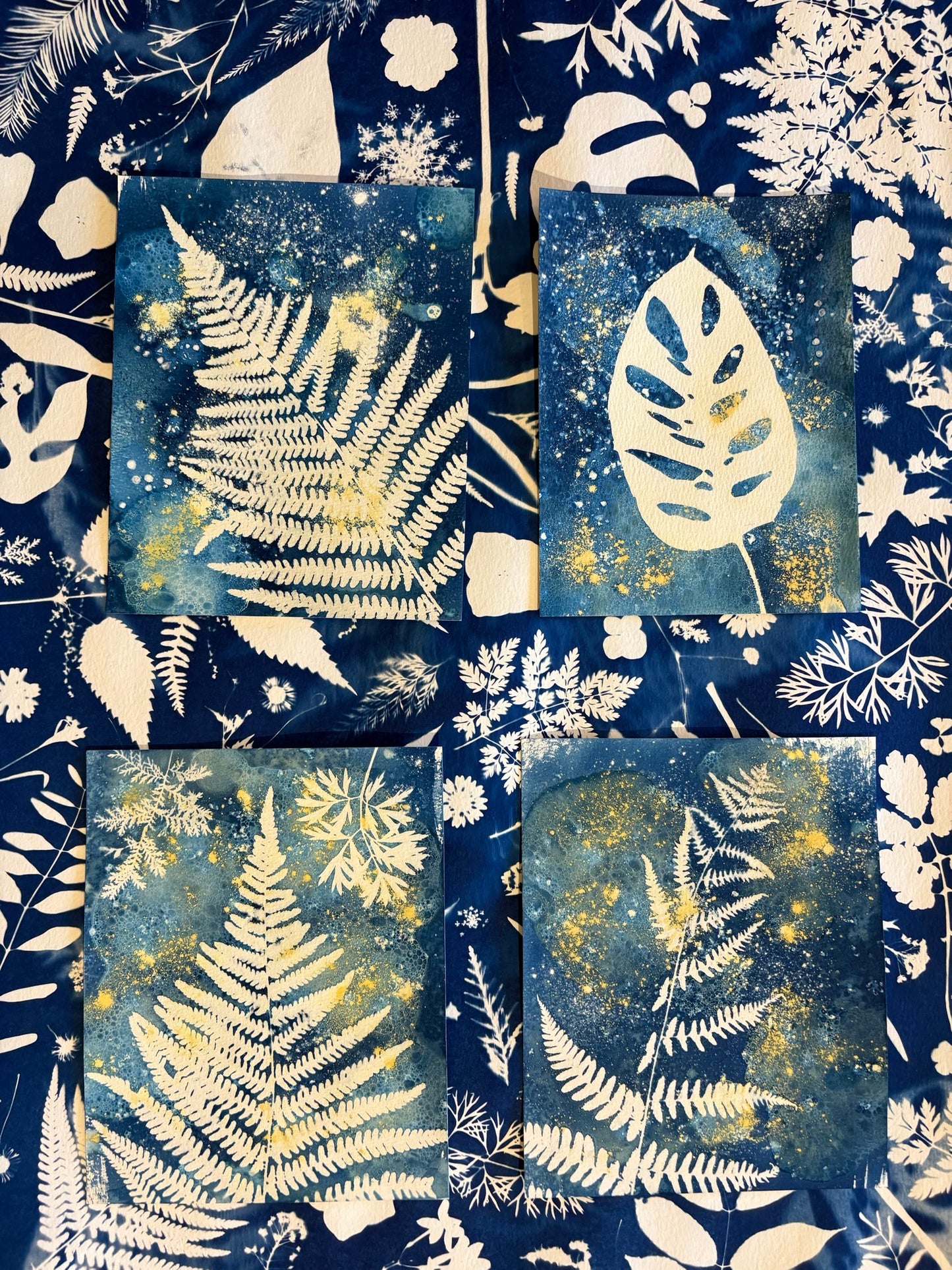 Workshop Cyanotype